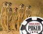 WSOP en Sudáfrica